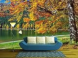 wall26 自己接着壁紙 大きな壁面絵画シリーズ 100"x144" WMR-WP-X-D643-100x24x6