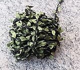 ブラック自然Twine文字列リーフハンドメイド人工の葉ウェディングデコレーションDIY 4メーターzg00046 _ 5