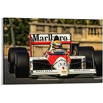 アイルトン・セナ特大ポスター(額入)AYRTON SENNA MEMORIAL アイルトン・セナ特大ポスター(額入)AYRTON SENNA MEMORIAL