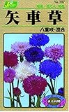 カネコ種苗 草花タネ107 矢車草 八重咲 混合 10袋セット