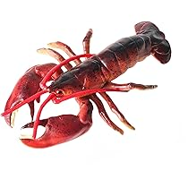 Amazon | MAIBED イセエビ フィギュア 伊勢海老 軟甲綱 海洋動物