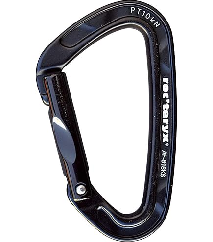 Black Diamond - ブラックダイヤモンド Black Diamond カラビナ ストレートゲート 7個セット 25KN 9KN 7KN クライミング 登山 アウトドア BlackDiamond ブラックダイヤモンド ホットフォージ スクリュー