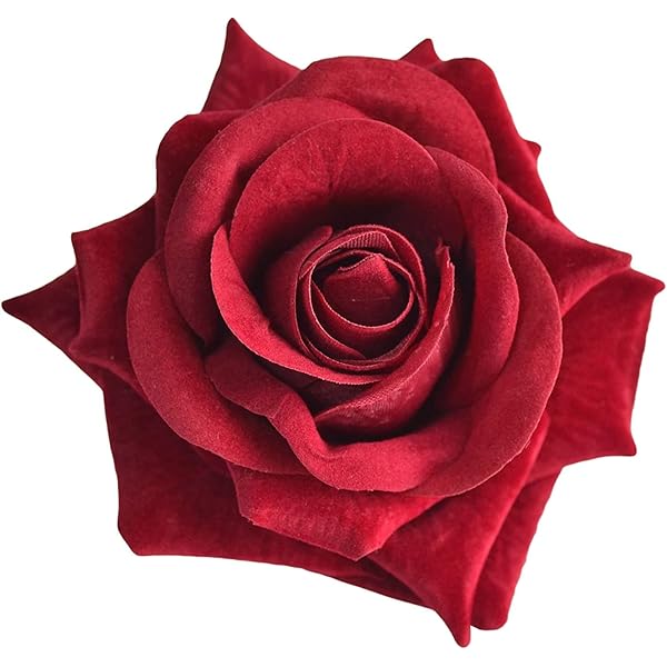 【赤い薔薇】 Manセット バラの花束】赤 薔薇 12本 ブーケ※パールラッピングmix‐サムライ