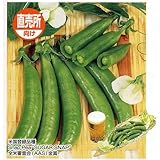 うまい!莢ごと食べる豌豆 スナック(サカタ) 1dl