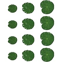 蓮の葉 16_闢ｮ縺ｨ譛ｴ闡・0915_Z9B_2676.jpg