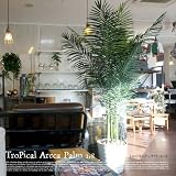 トロピカルアレカパーム1.8 光触媒　イミテーショングリーン