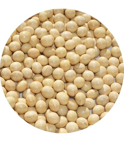 大豆　タマホマレ　令和6年産 20kg Amazon.co.jp: 国産 大豆 大粒【6年産】 北海道産 大粒白目大豆