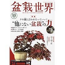 盆栽世界 2024年 11 月号 [雑誌] |本 | 通販 | Amazon