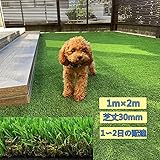 人工芝 人工芝生 人口芝生 人口芝【人工芝1m×2m 芝丈 3cm】 リアル 人工芝ロール 密度1.9倍 モダンな装飾人工芝 工芝マット 屋