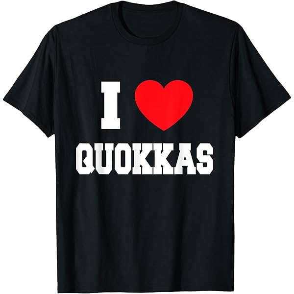 キャノンボール アーティストTシャツ【スミクロLサイズ】 キャノンボール アーティストTシャツ【スミクロLサイズ】 グッズ