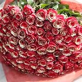 赤薔薇ゴールドラメ100本の花束 クリスマス、お誕生日、お祝いに! レッドローズ・赤バラ・赤いばらにゴールドラメ付き