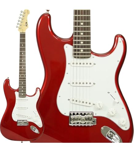 Amazon | FUJIGEN NLS20RFM/02 FCB エレキギター フジゲン | エレキ