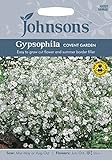 JOFL 英国ジョンソンシード Gypsophila Covent Garden ジプソフィラ（かすみ草）・コベント・ガーデン