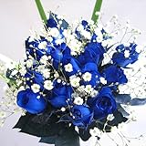 ブルーローズの花束　青いバラ20本＆カスミ草、グリーン付き バラの花束【生花】【お祝い・記念日・誕生日・フラワーギフト・バラ】