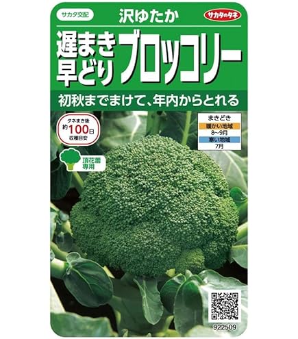 匿名発送】ブロッコリー種子（おはよう）5000粒、これから春まき！2個