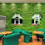 lhdlily 3d壁画単純な田園パーソナリティLarge Vine GardenホットポットShop壁紙壁画 LHDLily-561616981-14985