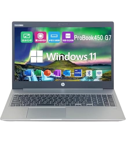 HP ProBook 450 G7 Laptop