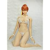 Amazon Ac Genesis ザキングオブファイターズ Emen Kof Ms02 1 6 美人 不知火舞 セクシー 女性 シームレス 素体 ヘッド 服 扇子 アクサセリー アクション フィギュア フルセット フィギュア ドール 通販