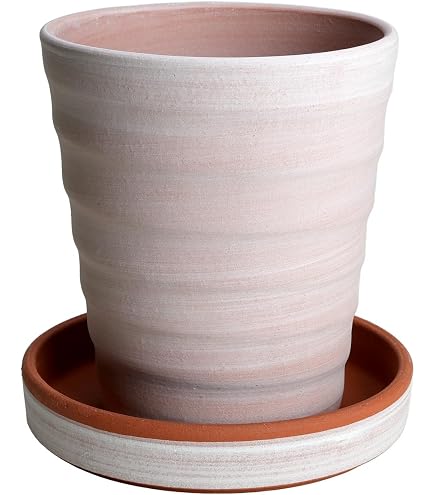 Amazon.co.jp: 鉢 KANEYOSHI 【日本製/安心の国産品質】 陶器 植木鉢