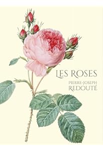 絶版　薔薇図譜　ピエールジョセフルドゥーテ 絶版】バラ図譜 ピエールジョセフルドゥーテ - メルカリ