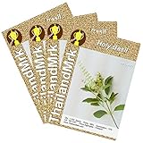 Thai Holy Basil Ocimum tenuiflorum 4 Bulk ThailandMrk