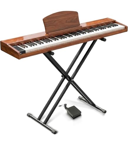 Amazon | CLAVIA Nord Electro 6D 73 73鍵 ステージキーボード | 電子