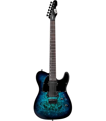 Amazon | ESP Guitars 6弦メタルエレキギター、ブラックサテン