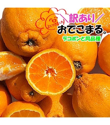 Amazon.co.jp: 紅まどんな 紅マドンナ お歳暮 ギフト みかん 愛媛県産
