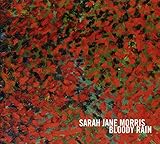 �u���f�B�E���C��