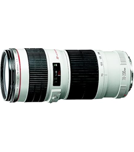 CANON EF 70-200mm F4L IS USM プロテクター付属 Amazon | JJC チューリップ型レンズフードシェードプロテクター