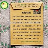 50個は/袋甘いオレガノ種子は、エキゾチックな植物は（ミックス最小注文$ 6）の種子をスパイス