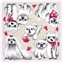 Amazon.co.jp: (アーンジョー)Enjeau 日本製 マルチーズ マルペキ