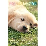 天国の犬ものがたり~HOME ホーム~ (小学館ジュニア文庫)