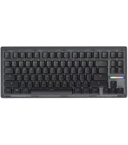 Amazon.co.jp: Wooting 80HE Linear60 v2 English Sequence US-ANSI