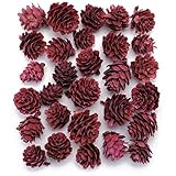 東京堂 ドライフラワー カラーコーンパック (45g入り) #レッド FE000609-003