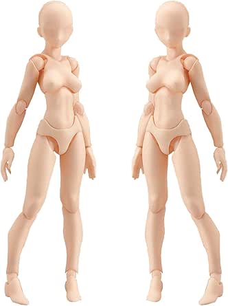 フェリモア デッサン人形 デッサンドール 女性 モデル ポージング フィギュア 可動式 スタンド付き 女2体セット フィギュア ドール 通販 Amazon