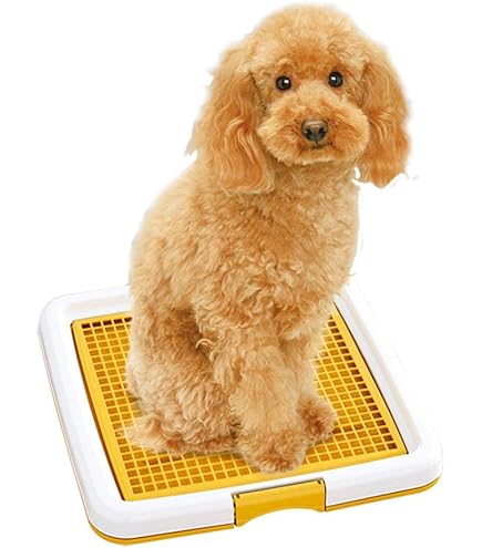 Amazon.co.jp: [Rshtong] 犬 ケージ 犬用サークル ペットケージ 犬
