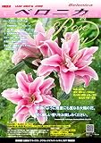 ゴージャスな八重咲百合球根 『ローズリリー・ベロニカ』大球×3球