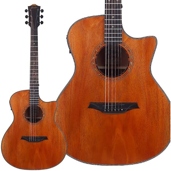 Amazon.co.jp: Bromo Guitars ブロモギターズ BAT4CE TAHOMA SERIES