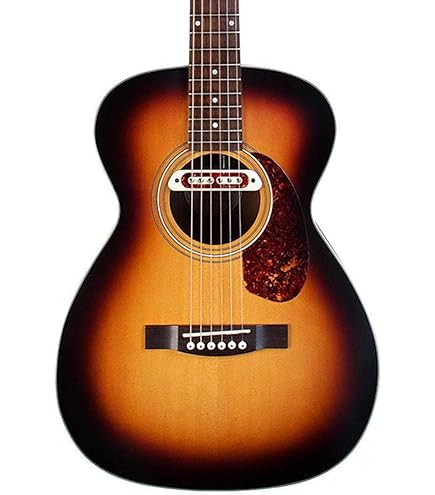 Amazon.co.jp: GUILD (ギルドギター) エレアコギター アーチバック