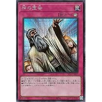 Amazon.co.jp: 遊戯王カード 次元障壁(シークレットレア) RARITY