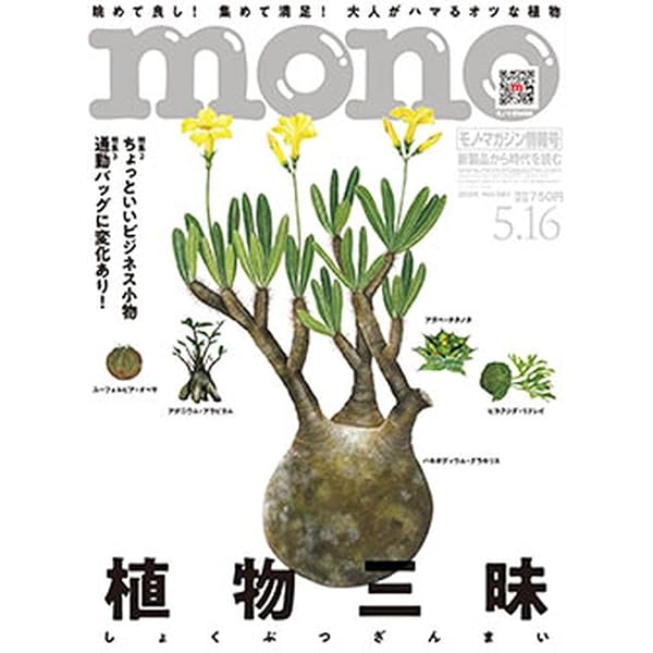 All about CAUDEX 三才ムック