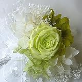 194【コサージュ プチS】（プリザーブドバラ）【結婚式、入学式、卒業式】 フレッシュグリーン プチS