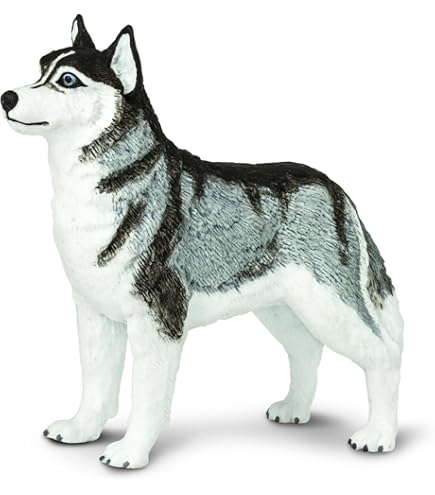 Collecta 88801 バーニーズ・マウンテンドッグ n5ksbvb CollectA Bernese Mountain Dog #88801 - High Textured Coat