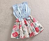 女の子のためのサマードレスコットンの子供服デニムの赤ちゃんの服花のノースリーブ子供の服女の子のプリンセスドレス