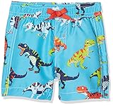 Hatley ハットレイ 男の子 ダイナソーT-REXモチーフ・スイムパンツ 75cm ~ 80cm 、12-18M(74-79cm) マルチカラー ナイロン82% ポリウレタン18% BSITREX