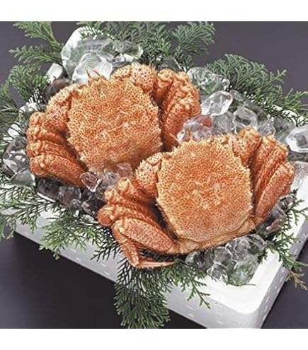 Amazon.co.jp: 毛ガニ 超特大 北海道 毛蟹 1尾 メガサイズ 1.2kg×1杯