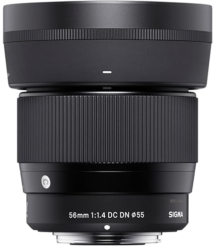 Amazon.co.jp: シグマ 10-20mm F4-5.6 EX DC HSM フォーサーズ用 10  