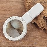 Liebeye 拡大鏡　通貨検出器　拡大レンズ　LEDライト　30倍　ダブルグラス　クリスマスギフト