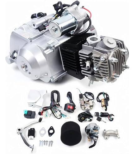 Amazon | 田中商会 ステルスブラック エンジンキット124ccオールキット